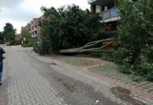 Gartenarbeit im Februar