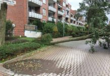 Stellvertretende Regionspräsidentin Rudszuck ehrt 43 Ehrenamtliche