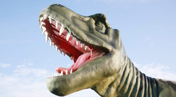 Johanniter-Chef ins Amt eingeführt