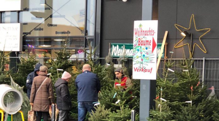 Wie ein zweites Zuhause – FSJ bietet Abwechslung zum Schulalltag