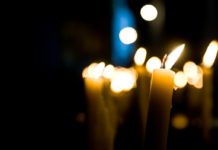 Hunde-Eis ganz einfach selber machen