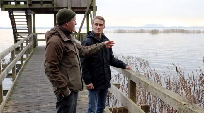 Freiwilliges Ökologisches Jahr im Naturpark: Unterwegs am Steinhuder Meer