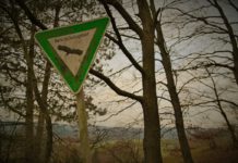 Bewirb Dich jetzt für das FÖJ – Freiwilliges Ökologisches Jahr im Natur- und Umweltschutz, auch in Ganztagsschulen oder Sportvereinen