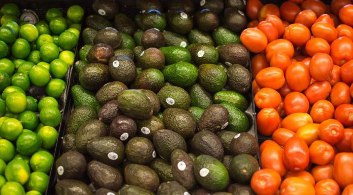 Erfolgreiches Ausbildungswochenende