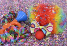 Karneval – Die fünfte Jahreszeit