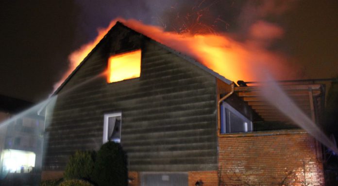 Über 100 Veranstaltungen: „Meer Natur erleben 2019“