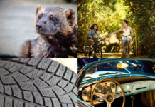 Winterspaziergang zum Jahresausklang am Steinhuder Meer – mit Einkehr