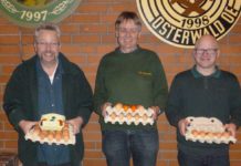 Angebote für Senioren 60plus