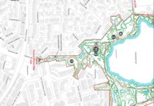 Vorsicht beim „wilden Knoblauch“ Bärlauch