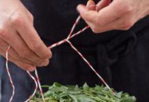 Naturpark Steinhuder Meer feiert den Europäischen Tag der Parke