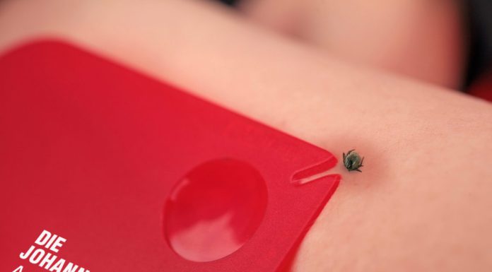 Johanniter geben Tipps zum Umgang mit Zecken