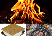 Den Naturpark mit Kindern erleben- Fledermaus – Führung an der Alten Moorhütte