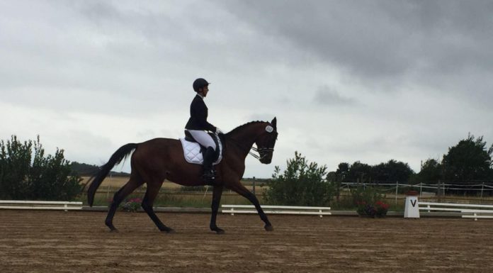 Region Hannover hebt Badeverbot an der Weißen Düne auf