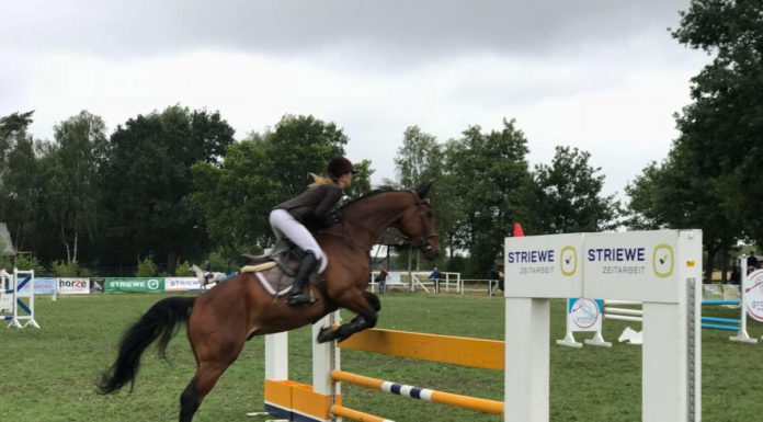 Wunstorfer Band Eispilot stellt ihr Debütalbum in Steinhude vor