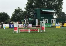 Stadt und Region Hannover unterstützen die „Vereinsmarke“