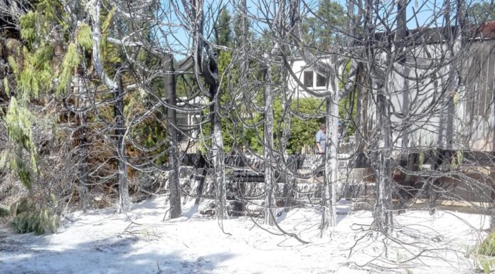 Feuerwehreinsatz am Segelclub Mardorf