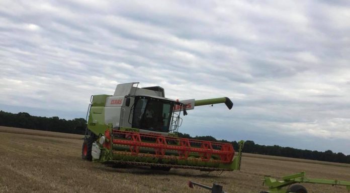 Frühe Hilfe für Familien in Wunstorf: Familienstadtplan soll alle Angebote übersichtlich bündeln