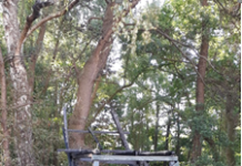 Bundesweiter Kita-Wettbewerb startet heute