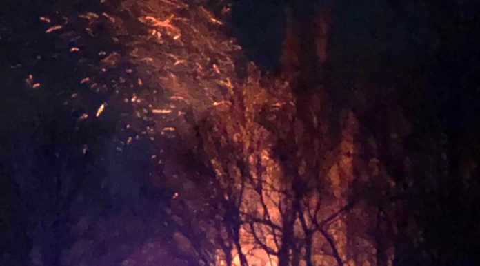 Einsätze der Feuerwehr am Wochenende