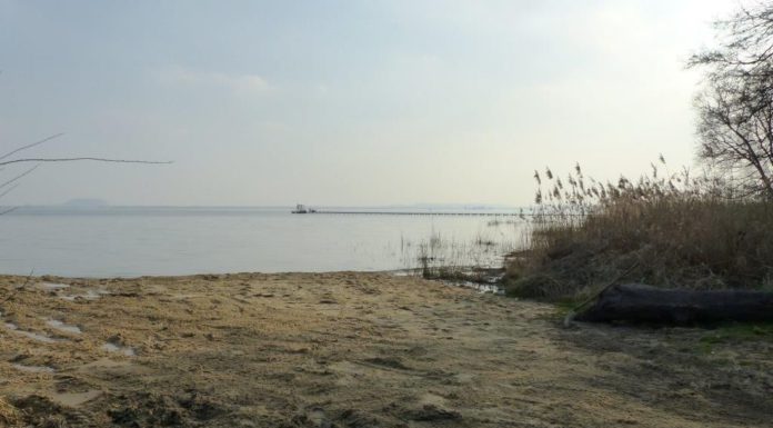 Hundestrand in Mardorf aufgeschüttet