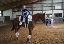 Pferdesport für Groß und Klein, für Jung und Alt im Reitverein St. Georg Osterwald