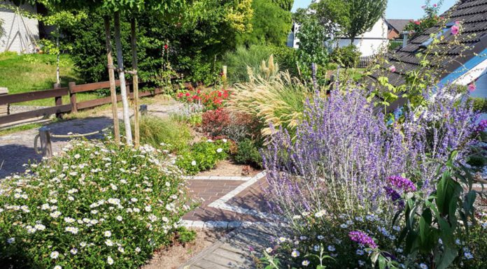 Grüne Oasen gesucht: Wunstorf startet Wettbewerb für naturnahe Gärten Grüne Oasen gesucht: Wunstorf startet Wettbewerb für naturnahe Gärten