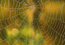 Altweibersommer voraus: Herbstliches Wetter fast chancenlos