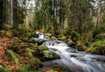 Freizeitangebote für Alleinerziehende und Familien im Herbst