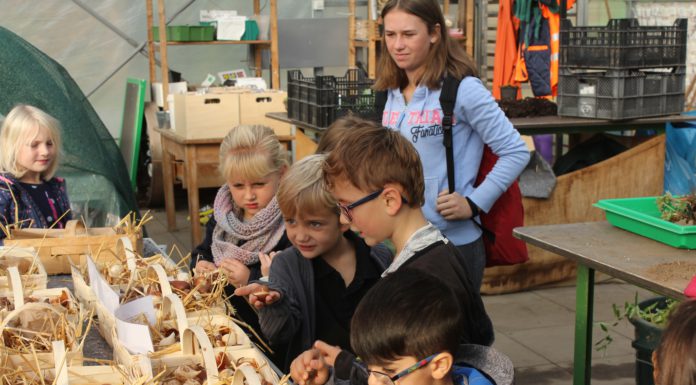 Zwiebel- und Staudenwoche vom 21. – 26. Oktober in Holtensen Alles dreht sich um die Zwiebel