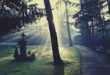 Neues Gruppenangebot für Trauernde bei den Johannitern