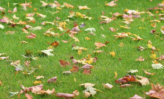 Wunstorf – Parken auf Grünflächen wird ab sofort sanktioniert – es kostet zwischen 20,– € und 35,– €.