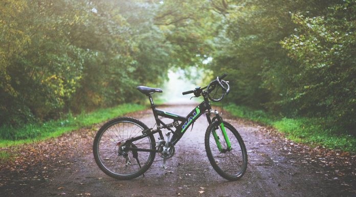 Stadtradeln 2019 – Für Wunstorf legten 21 von 40 Ratsmitgliedern 5905 Kilometer zurück.