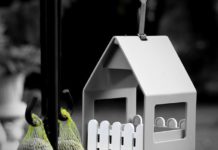 Vögel füttern im Winter