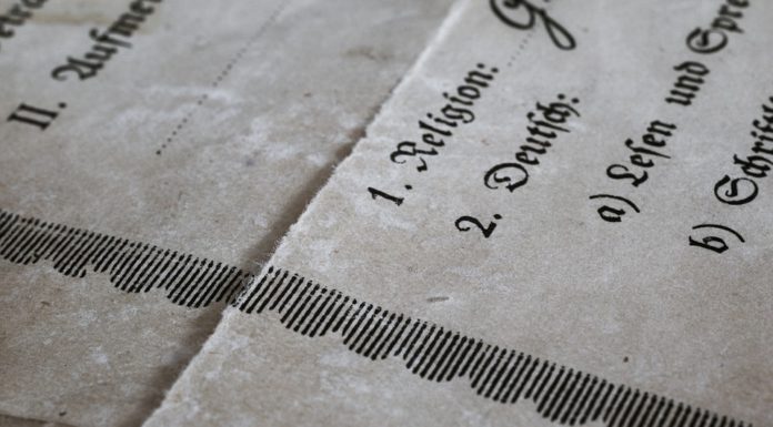 Moderner Service der Stadt Wunstorf – Personenstandsurkunden online beantragen und bezahlen