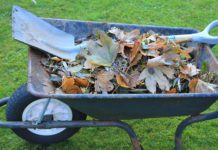 Zehn Wertstoffhöfe und 52 Grüngutannahmestellen öffnen nach Ostern