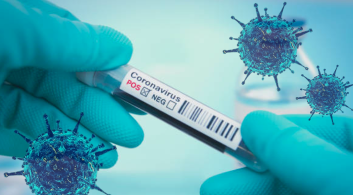 5 Corona-Fälle in Wunstorf, weitere Zahlen für die Region Hannover