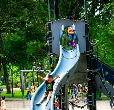 Naturpark Steinhuder Meer: Spielplatz im Grinderwald wird saniert