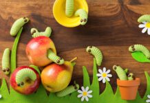 Raupen-Kekse Zubereitet mit: Sanella