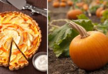 Kürbistarte – Zubereitet mit: Rama Cremefine