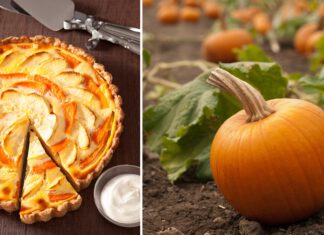 Kürbistarte – Zubereitet mit: Rama Cremefine