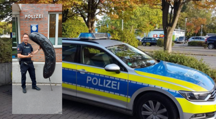 Gestohlene Bratwurst aus Steinhude wieder aufgetaucht
