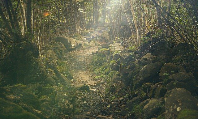 Noch freie Plätze: Entspannender Kurzurlaub im Harz