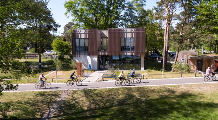 Naturpark Steinhuder Meer: Moor und Wald kennenlernen