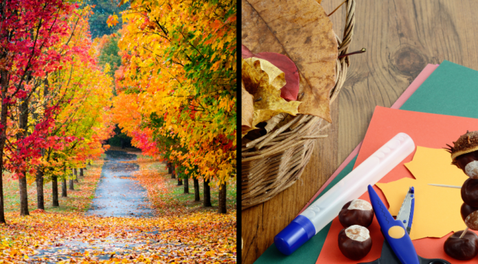 Naturpark Steinhuder Meer: Bastelaktion am 9. Oktober
