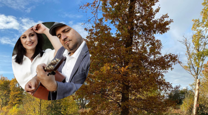 Totensonntag: Gedenkfeier für 120 Beigesetzte auf dem Bestattungshain in Schloß Ricklingen