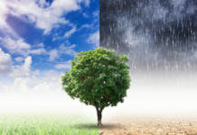 Fachleute unterstützen Stadt und Region auf dem Weg zur Klimaneutralität