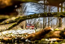Sturmtief Ylenia war gestern – heute kommt Zeynep – Tipps bei Sturm und Unwetter