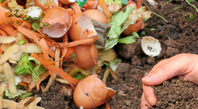 aha: Kompostmarkt in Wunstorf am 11. April