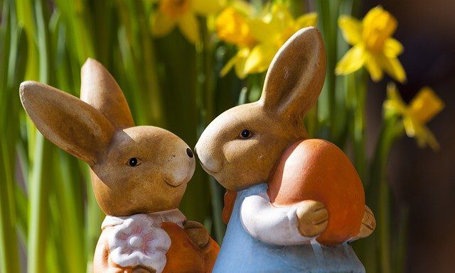 Wunstorf holt die Hasen raus – Der Frühling kommt und Ostern ist in Sicht