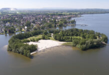 Grüne Schätze: Auf Schatzsuche im Naturpark Steinhuder Meer